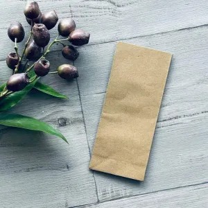 Budget Kraft Gift Bag Small SOS1 - Pack 100