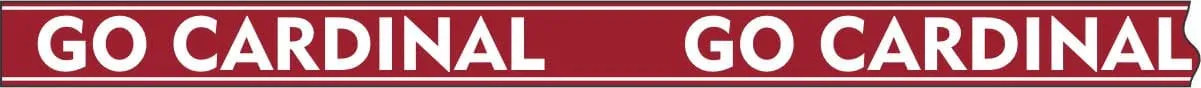 PRE- ORDER Beaded Purse Straps - Stanford